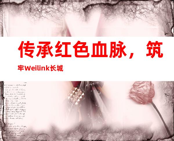 传承红色血脉，筑牢Weilink长城